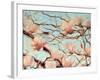 Outside My Window-Holly Van Hart-Framed Art Print