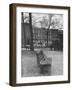 Outside of Journalist Henry L. Mencken's Home-null-Framed Photographic Print