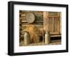 Outside the Kitchen, Ronald V. Jensen Historical Farm, Cache Valley, Utah, USA-Scott T. Smith-Framed Photographic Print