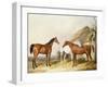 Outside the Stable, 1845-William Barraud-Framed Giclee Print