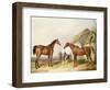 Outside the Stable, 1845-William Barraud-Framed Giclee Print