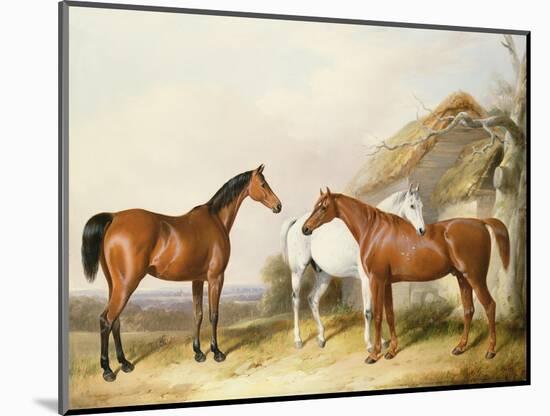 Outside the Stable, 1845-William Barraud-Mounted Giclee Print