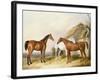 Outside the Stable, 1845-William Barraud-Framed Giclee Print