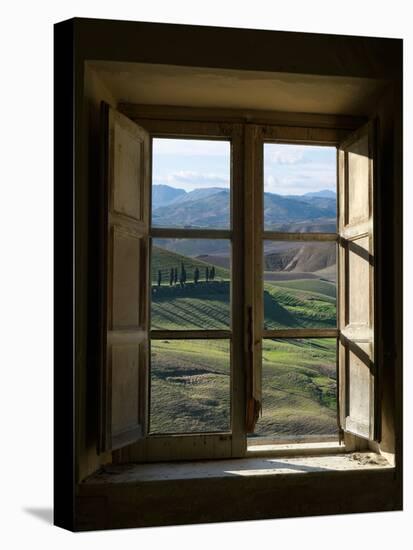 Outside View of Cypress Trees and Green Hills Through a Shabby Windows-ollirg-Stretched Canvas