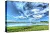 Outside Wellfleet-Robert Goldwitz-Stretched Canvas