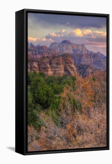 Outside Zion (Portrait) Southern Utah-Vincent James-Framed Stretched Canvas