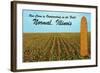 Outstanding Corn, Normal, Illinois-null-Framed Art Print