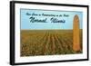 Outstanding Corn, Normal, Illinois-null-Framed Art Print