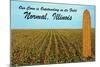 Outstanding Corn, Normal, Illinois-null-Mounted Art Print