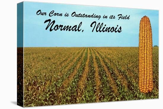 Outstanding Corn, Normal, Illinois-null-Stretched Canvas