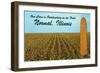 Outstanding Corn, Normal, Illinois-null-Framed Art Print