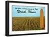 Outstanding Corn, Normal, Illinois-null-Framed Art Print