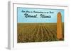 Outstanding Corn, Normal, Illinois-null-Framed Art Print