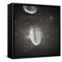 Oval Crater on the Moon-null-Framed Stretched Canvas