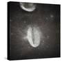 Oval Crater on the Moon-null-Stretched Canvas