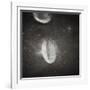 Oval Crater on the Moon-null-Framed Photographic Print