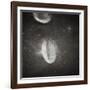 Oval Crater on the Moon-null-Framed Photographic Print