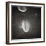 Oval Crater on the Moon-null-Framed Photographic Print