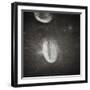 Oval Crater on the Moon-null-Framed Photographic Print