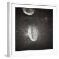 Oval Crater on the Moon-null-Framed Photographic Print