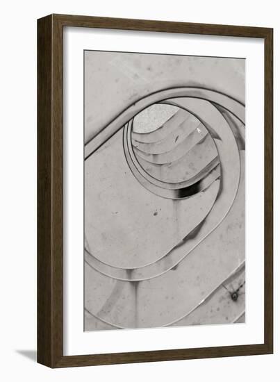 Oval Fractals II-Dana Styber-Framed Photographic Print