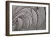 Oval Fractals IV-Dana Styber-Framed Photographic Print