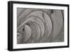 Oval Fractals IV-Dana Styber-Framed Photographic Print