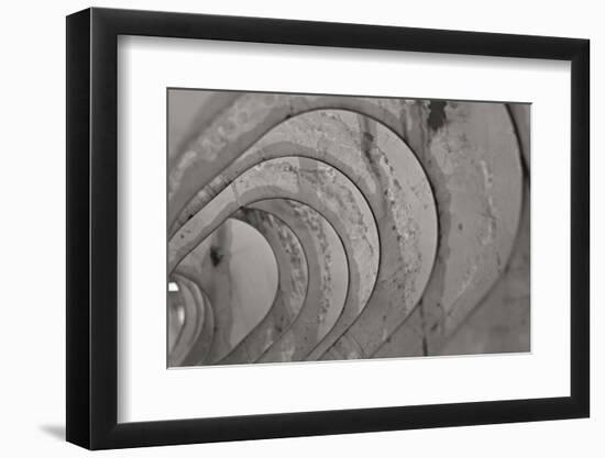 Oval Fractals IV-Dana Styber-Framed Photographic Print