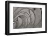 Oval Fractals IV-Dana Styber-Framed Photographic Print