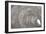 Oval Fractals V-Dana Styber-Framed Photographic Print