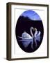 Oval Kissing Swans-Bonnie B. Cook-Framed Giclee Print