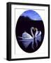 Oval Kissing Swans-Bonnie B. Cook-Framed Giclee Print