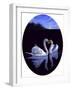 Oval Kissing Swans-Bonnie B. Cook-Framed Giclee Print