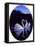 Oval Kissing Swans-Bonnie B. Cook-Framed Stretched Canvas