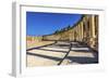 Oval Plaza, 160 Ionic Columns, Jerash, Jordan.-William Perry-Framed Photographic Print