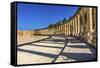 Oval Plaza, 160 Ionic Columns, Jerash, Jordan.-William Perry-Framed Stretched Canvas