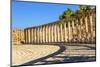 Oval Plaza, 160 Ionic Columns, Jerash, Jordan.-William Perry-Mounted Photographic Print