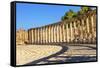 Oval Plaza, 160 Ionic Columns, Jerash, Jordan.-William Perry-Framed Stretched Canvas