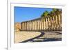 Oval Plaza, 160 Ionic Columns, Jerash, Jordan.-William Perry-Framed Premium Photographic Print