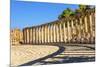 Oval Plaza, 160 Ionic Columns, Jerash, Jordan.-William Perry-Mounted Premium Photographic Print