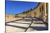 Oval Plaza, 160 Ionic Columns, Jerash, Jordan.-William Perry-Stretched Canvas