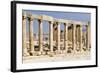 Oval Plaza with colonnade and ionic columns, Jerash, Jordan.-Nico Tondini-Framed Photographic Print