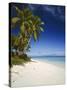 Ovalau Island Tropical Beach Scene with Palm Trees-null-Stretched Canvas