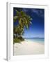 Ovalau Island Tropical Beach Scene with Palm Trees-null-Framed Photographic Print