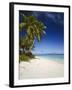 Ovalau Island Tropical Beach Scene with Palm Trees-null-Framed Photographic Print