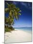 Ovalau Island Tropical Beach Scene with Palm Trees-null-Mounted Photographic Print