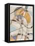 Ovals & Lines I-Nikki Galapon-Framed Stretched Canvas