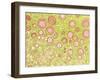 Ovarian Follicles, Light Micrograph-Steve Gschmeissner-Framed Photographic Print