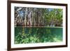 Over and under Shot of Mangrove Roots in Tampa Bay, Florida-James White-Framed Photographic Print