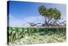 Over and under Water Photograph of a Mangrove Tree , Background Near Staniel Cay, Bahamas-James White-Stretched Canvas